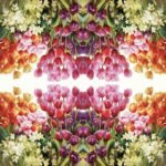 Decoupage Paper Napkins - Tulips