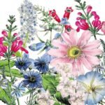 Decoupage Paper Napkins - Floriculture