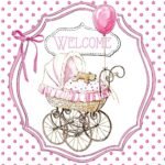 Decoupage Paper Napkins - Welcome Pink