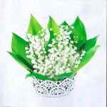 Decoupage Paper Napkins - Bunch Of Lily