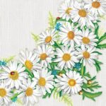 Decoupage Paper Napkins - Daisy Frame