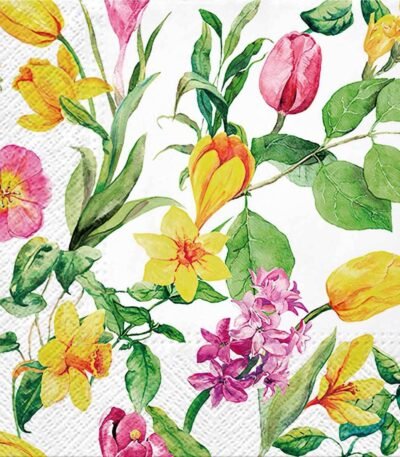 Decoupage Paper Napkins - Early Spring