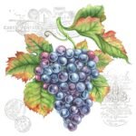 Decoupage Paper Napkins - Grape Vine