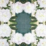 Decoupage Paper Napkins - Dewed White Peonies