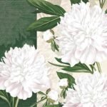 Decoupage Paper Napkins - Dewed White Peonies