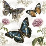 Decoupage Paper Napkins - Butterflies on Retro