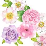 Decoupage Paper Napkins - Flower Blush