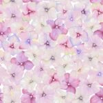Decoupage Paper Napkins - Small Blossoms