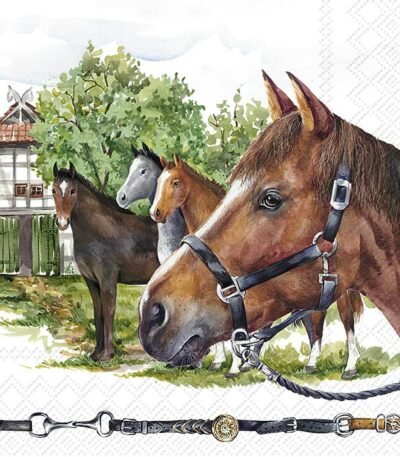 Decoupage Paper Napkins - Nikas Family