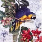 Decoupage Paper Napkins - Bird 12 (4 Sheets)
