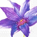 Decoupage Paper Napkins - Clea