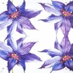 Decoupage Paper Napkins - Clea