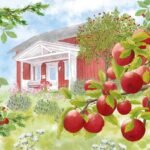 Decoupage Paper Napkins - House In Sweden