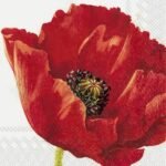 Decoupage Paper Napkins - Mona