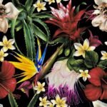 Decoupage Paper Napkins - Paradise Flowers On Black