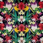 Decoupage Paper Napkins - Paradise Flowers On Black