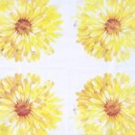 Decoupage Paper Napkins - Rica