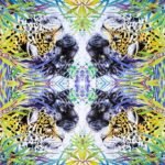 Decoupage Paper Napkins - Wild Cats Fantasy