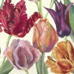 Decoupage Paper Napkins - Tulips Cream