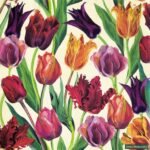 Decoupage Paper Napkins - Tulips Cream