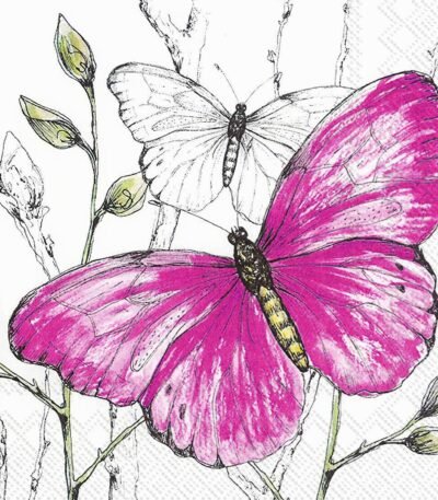 Decoupage Paper Napkins - Colourful Butterflies