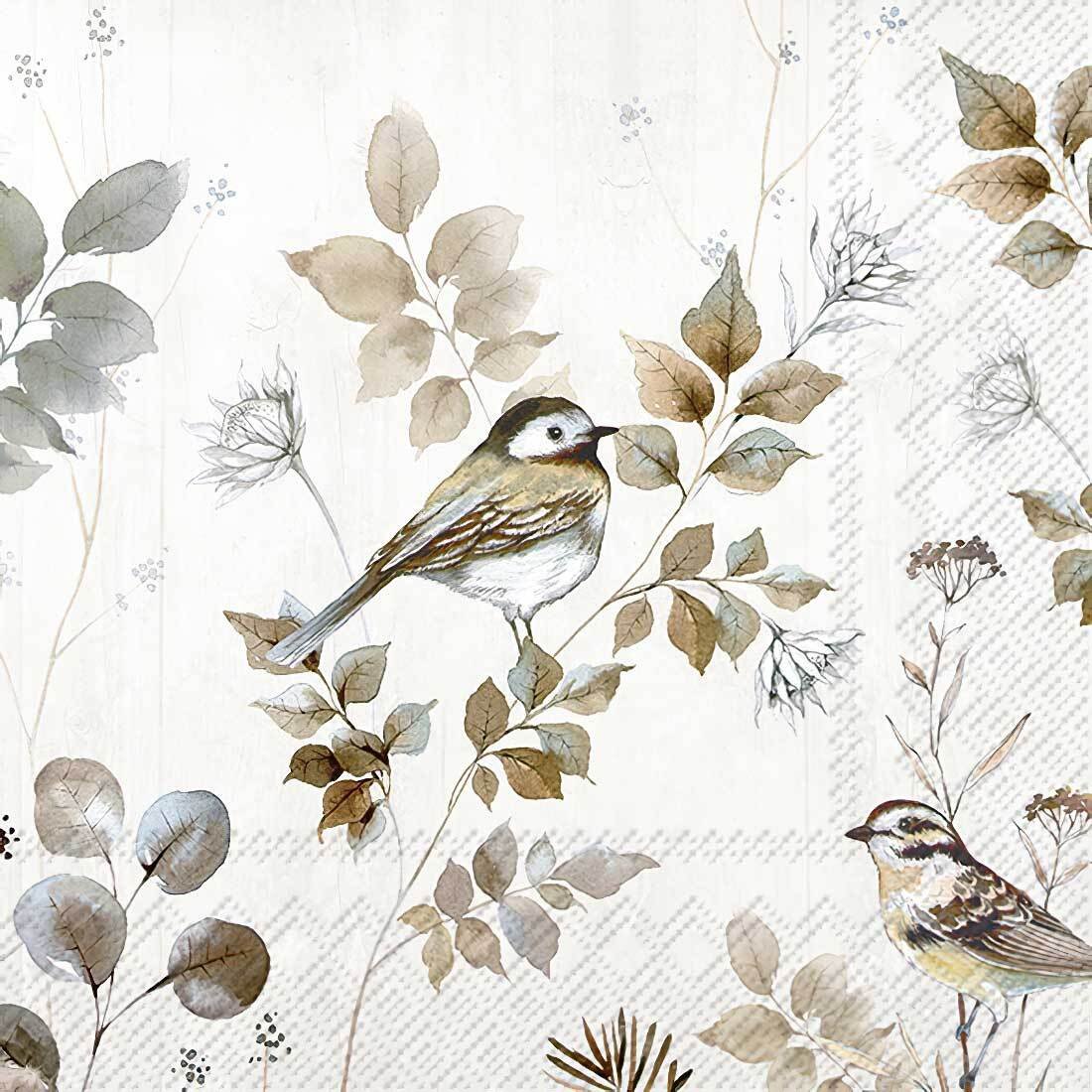 Decoupage Paper Napkins - Woodland Birds Nature - The Tissue Store Decoupage Paper Napkins - Woodland Birds Nature