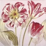 Decoupage Paper Napkins - Majestic Tulips Pink