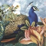 Decoupage Paper Napkins - Paradise Peacock