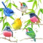 Decoupage Paper Napkins - Bird Paradise