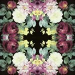 Decoupage Paper Napkins - Vintage Big Rose Black