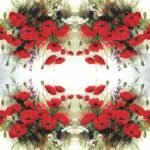 Decoupage Paper Napkins - Wild Poppies