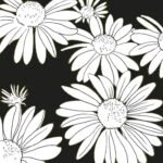 Decoupage Paper Napkins - Peggy Black