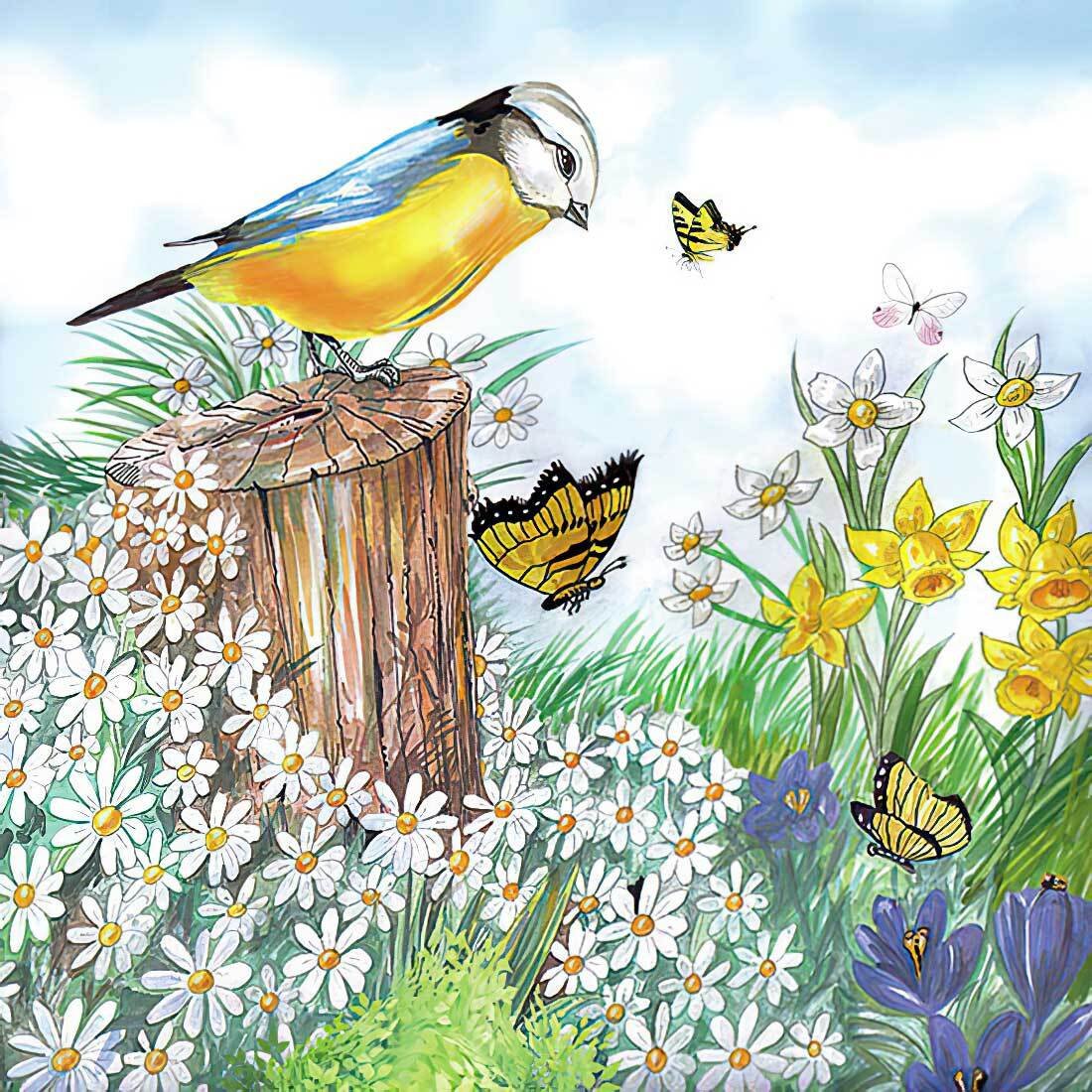 Decoupage Paper Napkins - Bird Watching - The Tissue Store Decoupage Paper Napkins - Bird Watching