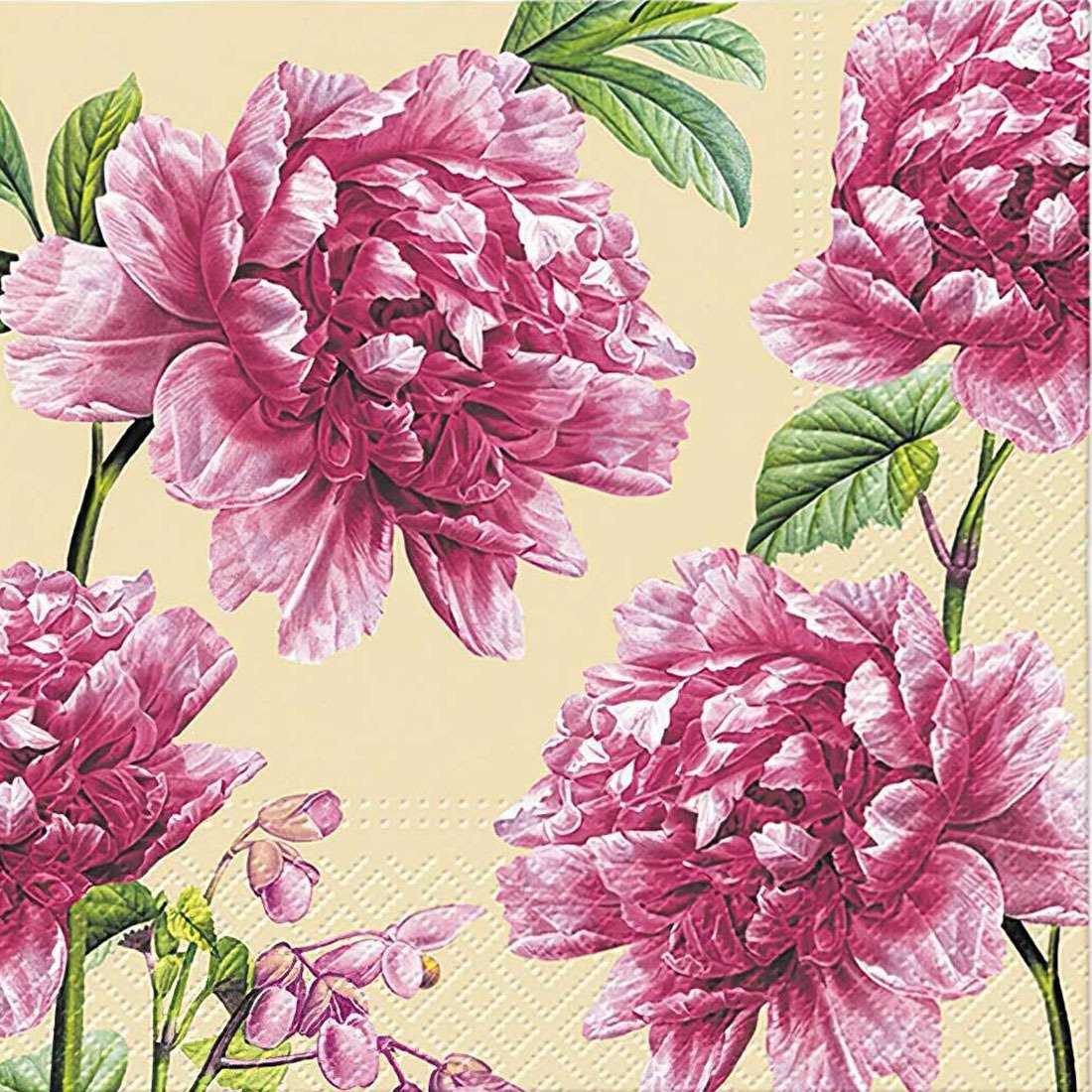 Decoupage Paper Napkins - Beautiful Peonies - The Tissue Store Decoupage Paper Napkins - Beautiful Peonies