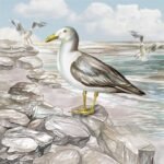 Decoupage Paper Napkins - Seagull On The Shore