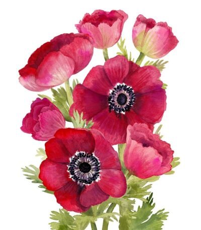 Decoupage Paper Napkins - Jacky