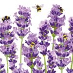 Decoupage Paper Napkins - Bees & Lavender