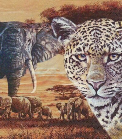 Decoupage Paper Napkins - Safari Collage