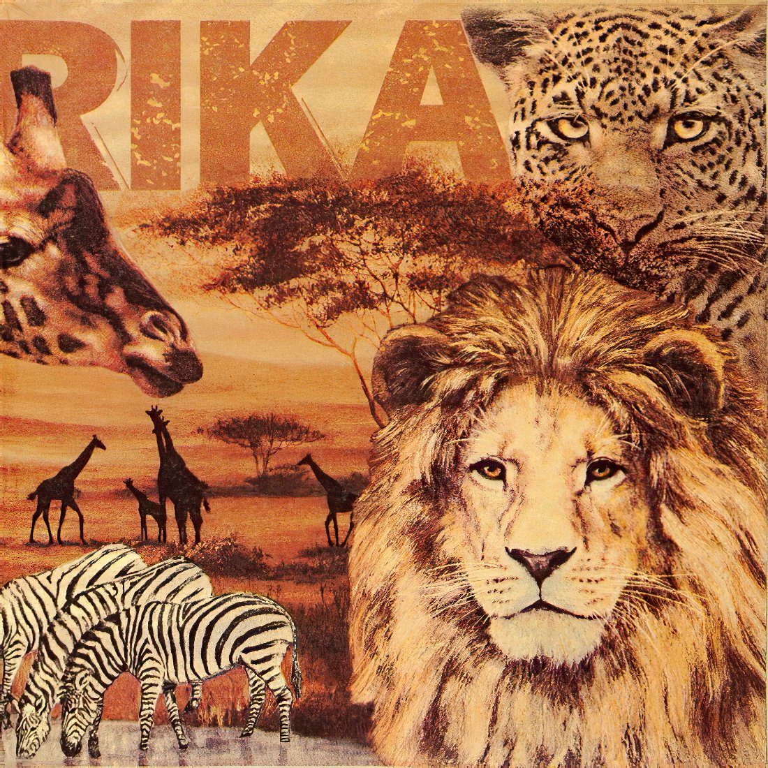 Decoupage Paper Napkins - Africa Collage - The Tissue Store Decoupage Paper Napkins - Africa Collage