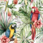 Decoupage Paper Napkins - Macaw