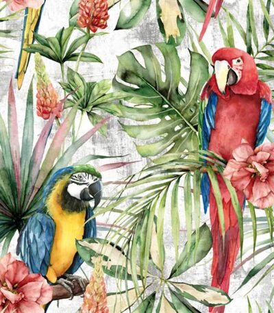 Decoupage Paper Napkins - Macaw