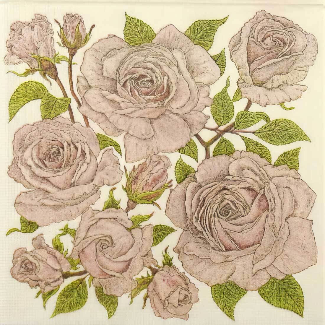 Decoupage Paper Napkins - Roses (Cream) - The Tissue Store Decoupage Paper Napkins - Roses (Cream)