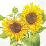 Decoupage Paper Napkins - Mirasol white