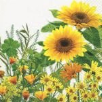 Decoupage Paper Napkins - Yellow Meadow