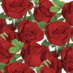 Decoupage Paper Napkins - Classic Red Roses