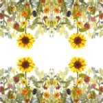 Decoupage Paper Napkins - Wild Sunflower