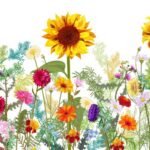 Decoupage Paper Napkins - Wild Sunflower
