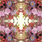 Decoupage Paper Napkins - Autumn Flowers