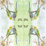 Decoupage Paper Napkins - Budgies Green