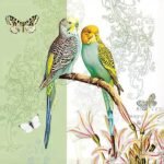 Decoupage Paper Napkins - Budgies Green